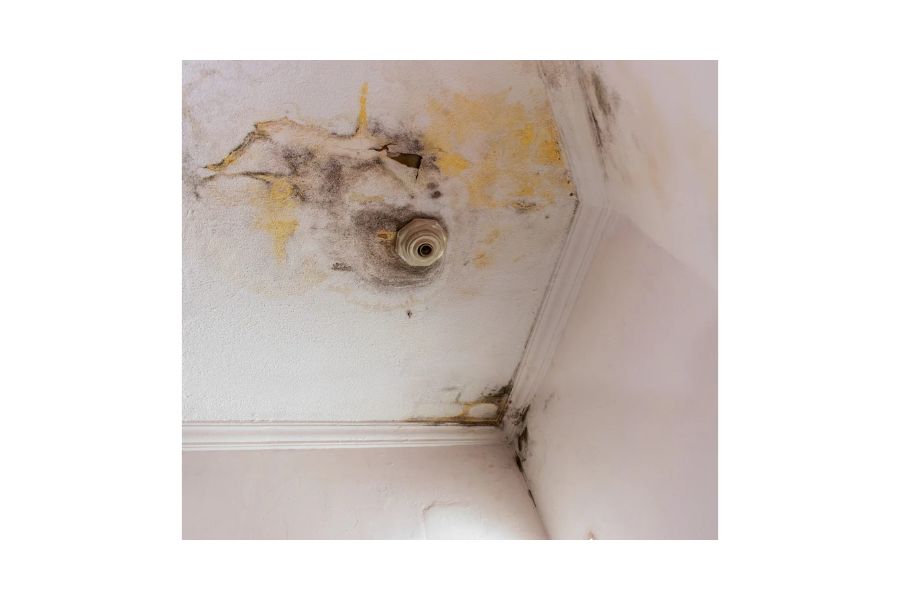 Infiltração com manchas de umidade e mofo no teto de um imóvel